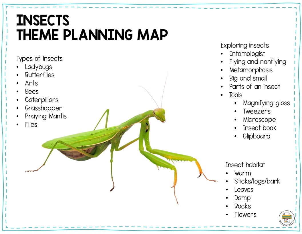 Preschool Insects Lesson Planning Ideas Pre K Printable Fun