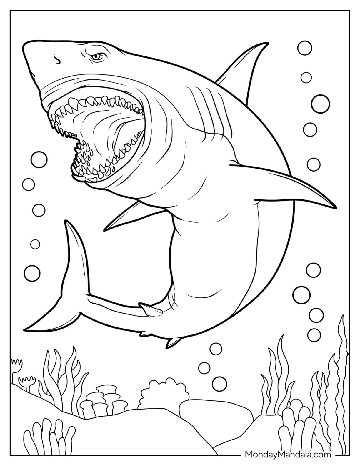 Shark Coloring Pages Printable