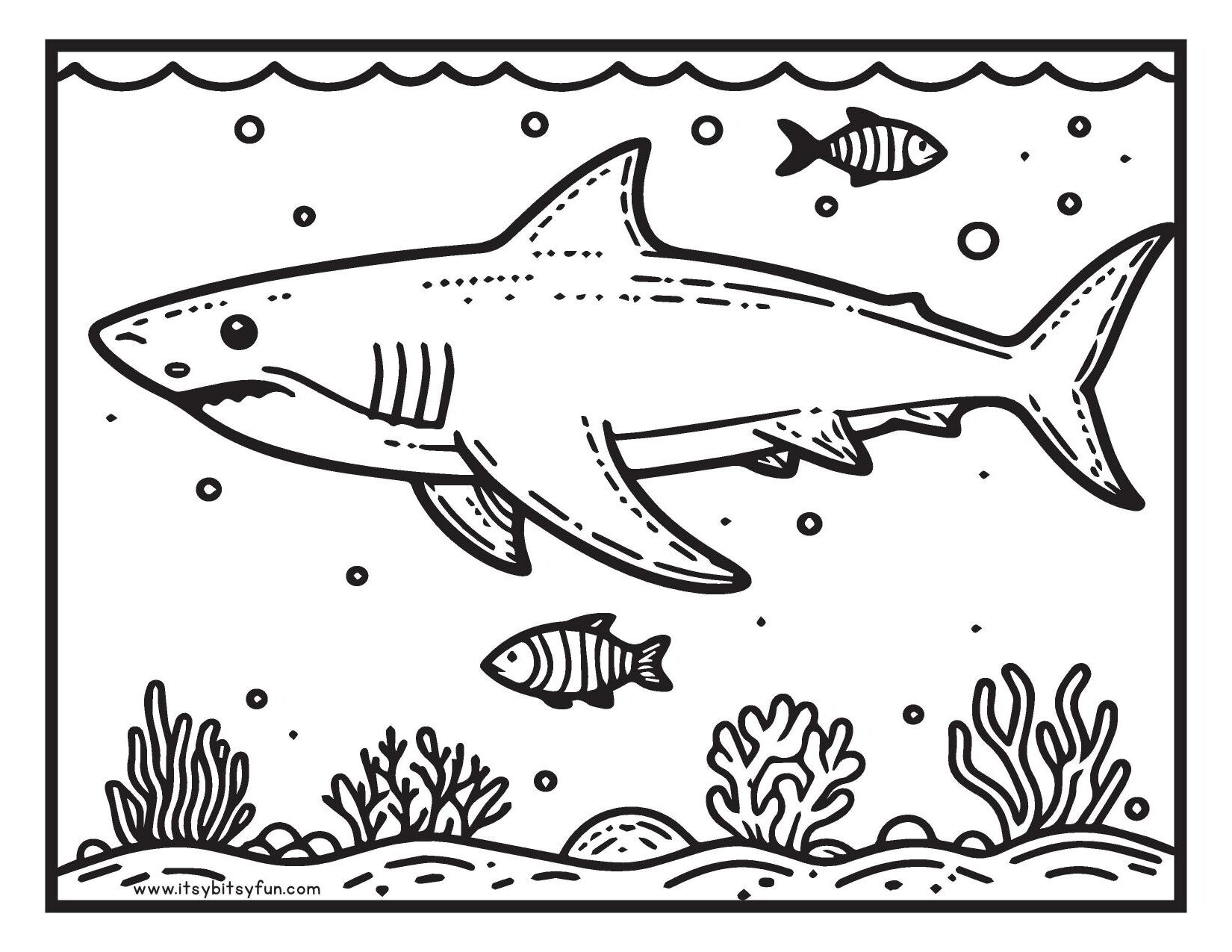 shark coloring pages printable