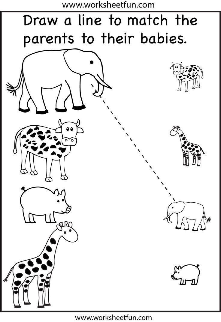 printable preschool homework sheets