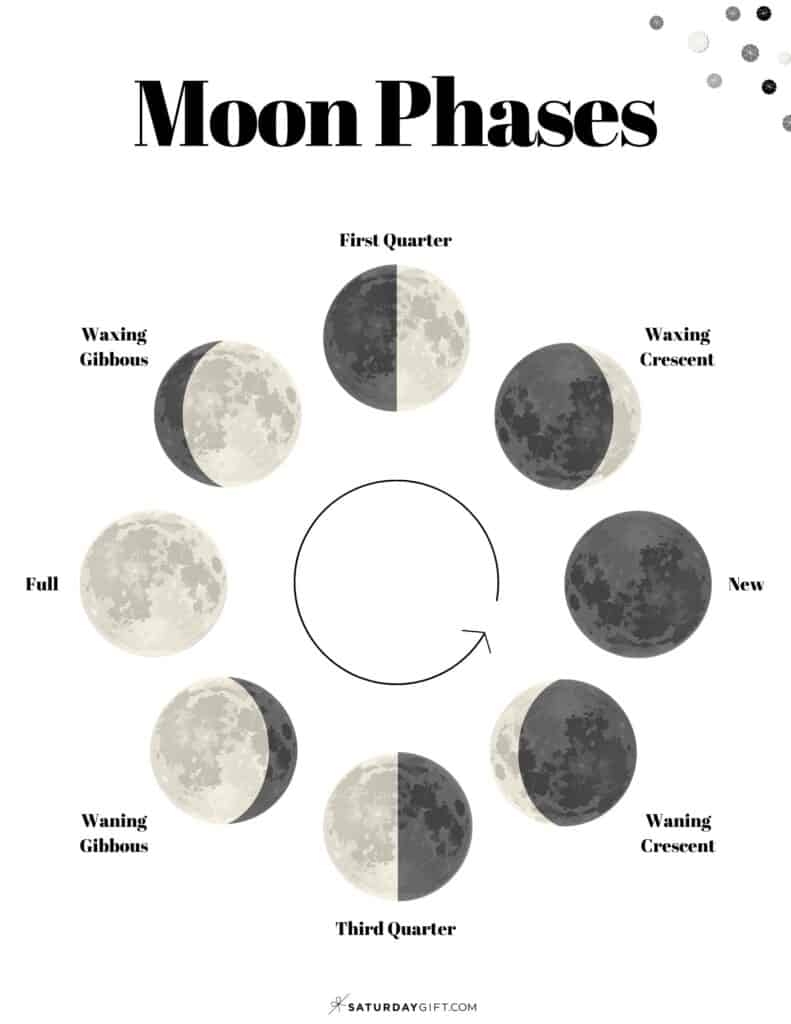 Phases Of The Moon Printable