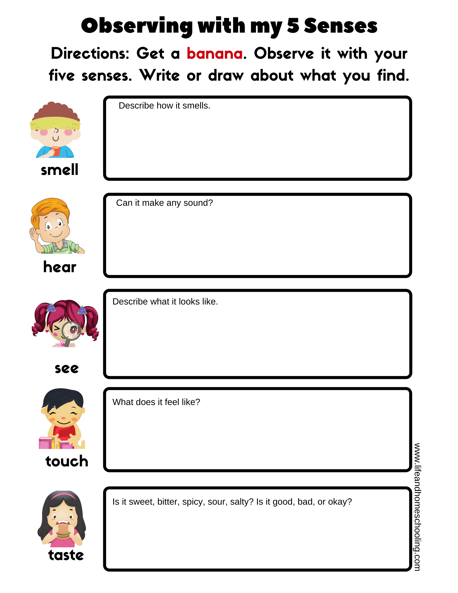 5 senses worksheets for preschoolers