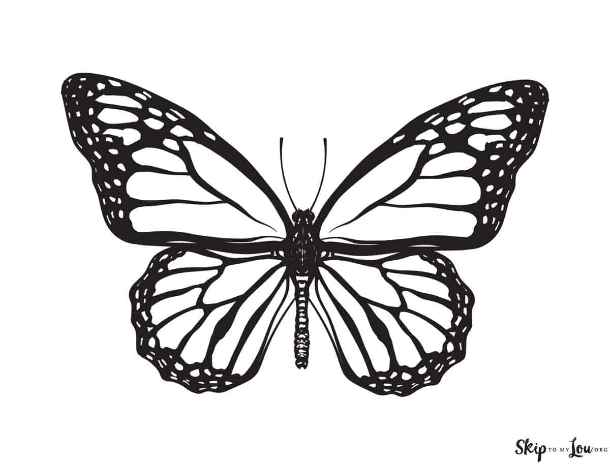 butterfly printable coloring pages
