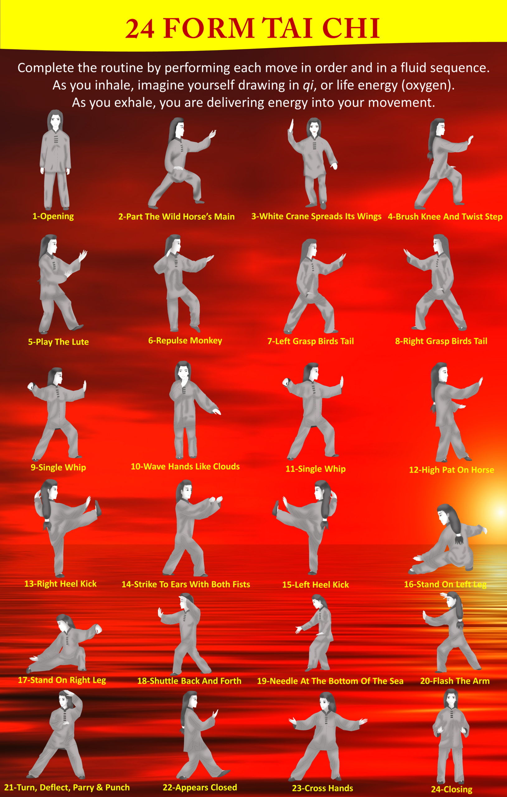 12 Tai Chi Ch uan Ideas Tai Chi Tai Chi Qigong Tai