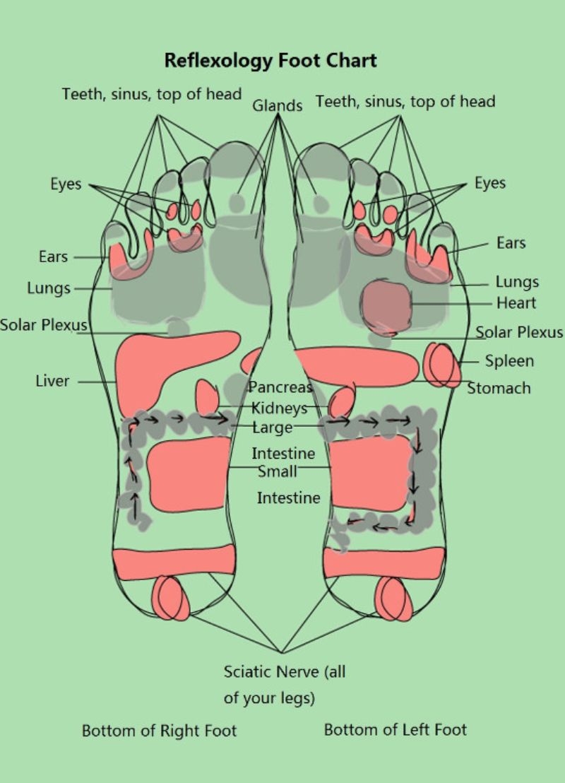 31 Printable Foot Reflexology Charts Maps TemplateLab