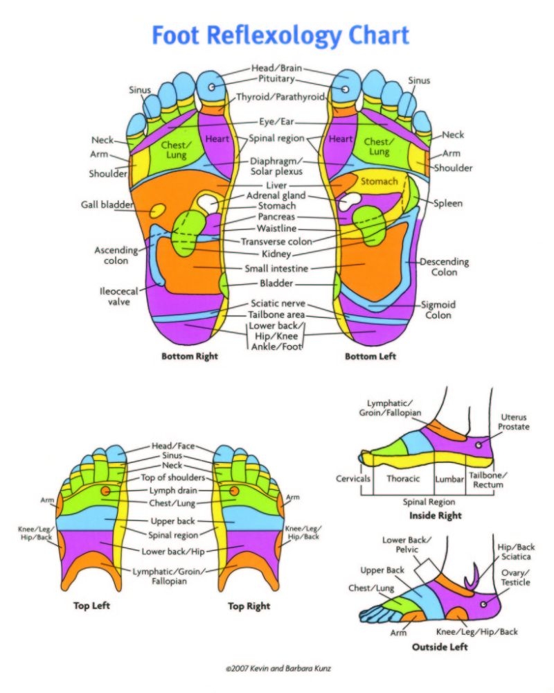 31 Printable Foot Reflexology Charts Maps TemplateLab
