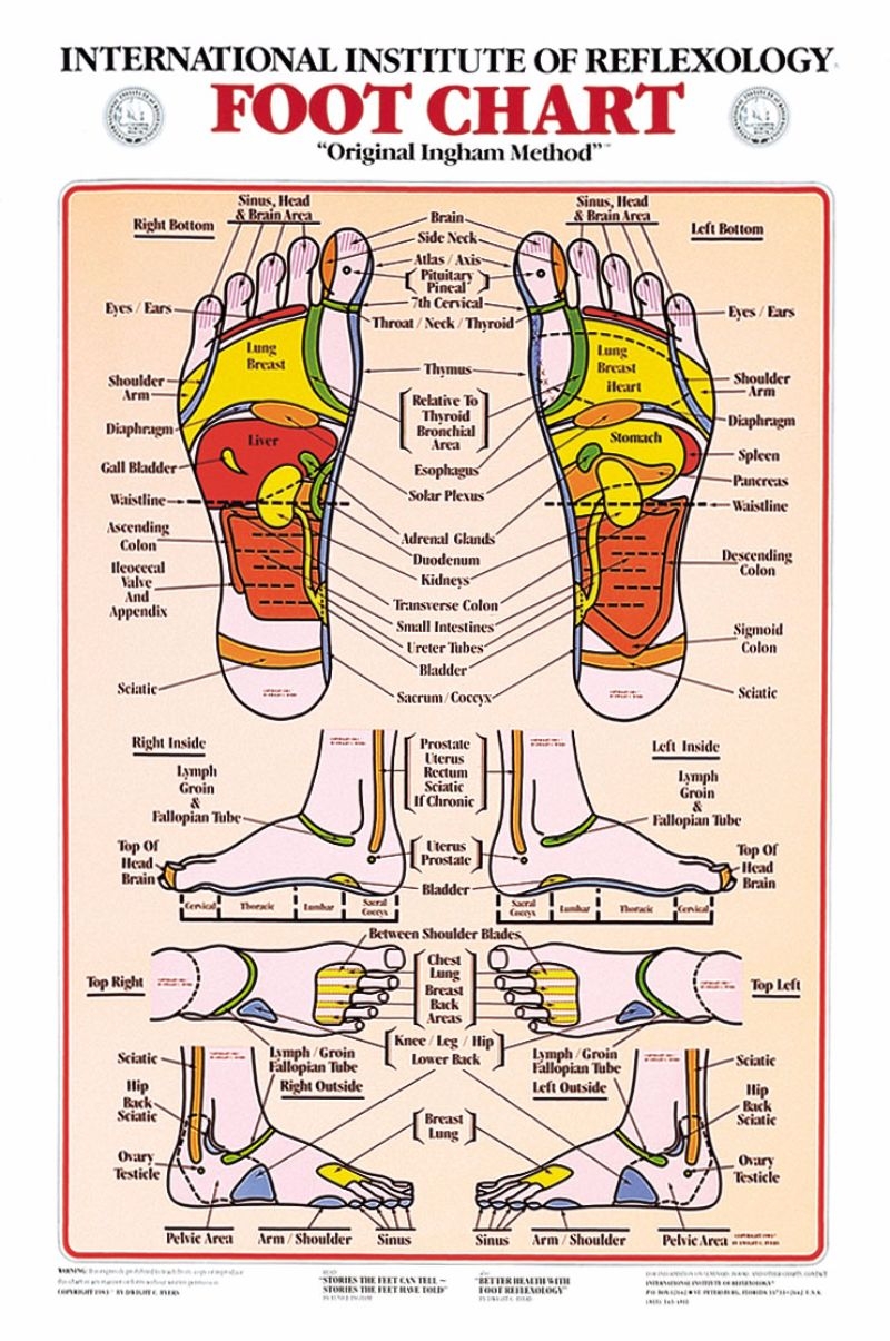 Printable Foot Reflexology Chart