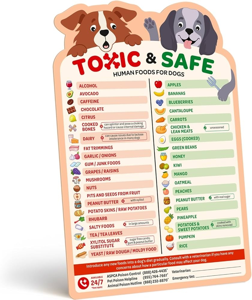 Amazon EBPP Magnetic List Of Foods Dogs Can Eat Dog Feeding Chart Fridge Magnet Foods Dogs Shouldnt Eat Chart Decorative Magnets Dog Safety Emergency Numbers Magnet New Puppy