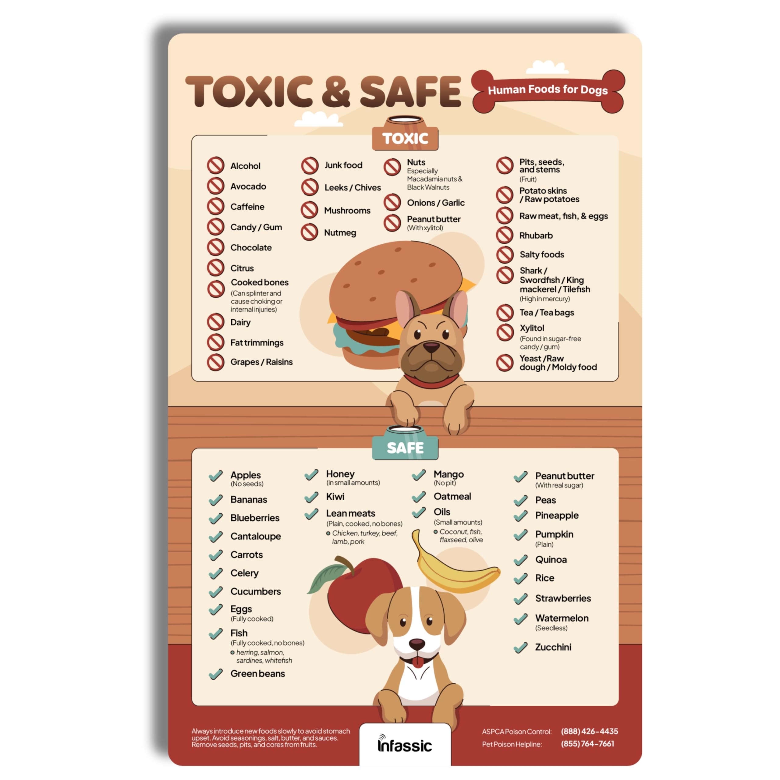 Amazon Food Dogs Shouldn t Eat Magnet List Of Toxic And Safe Food For Dogs Chart Food Canines Can Cannot Eat Magnetic Cheat Sheet Can My Pet Consume This 
