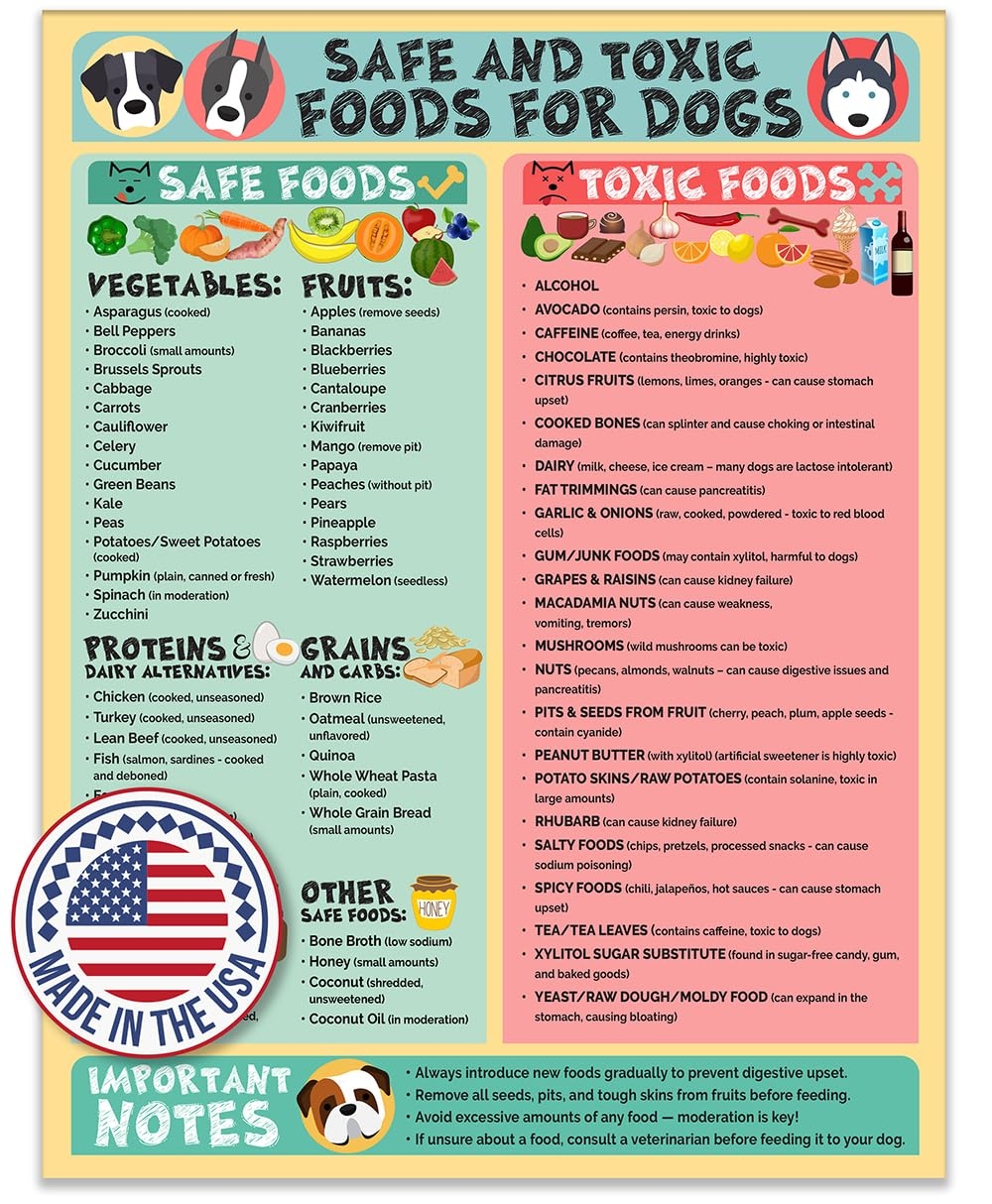 printable dog safe food chart