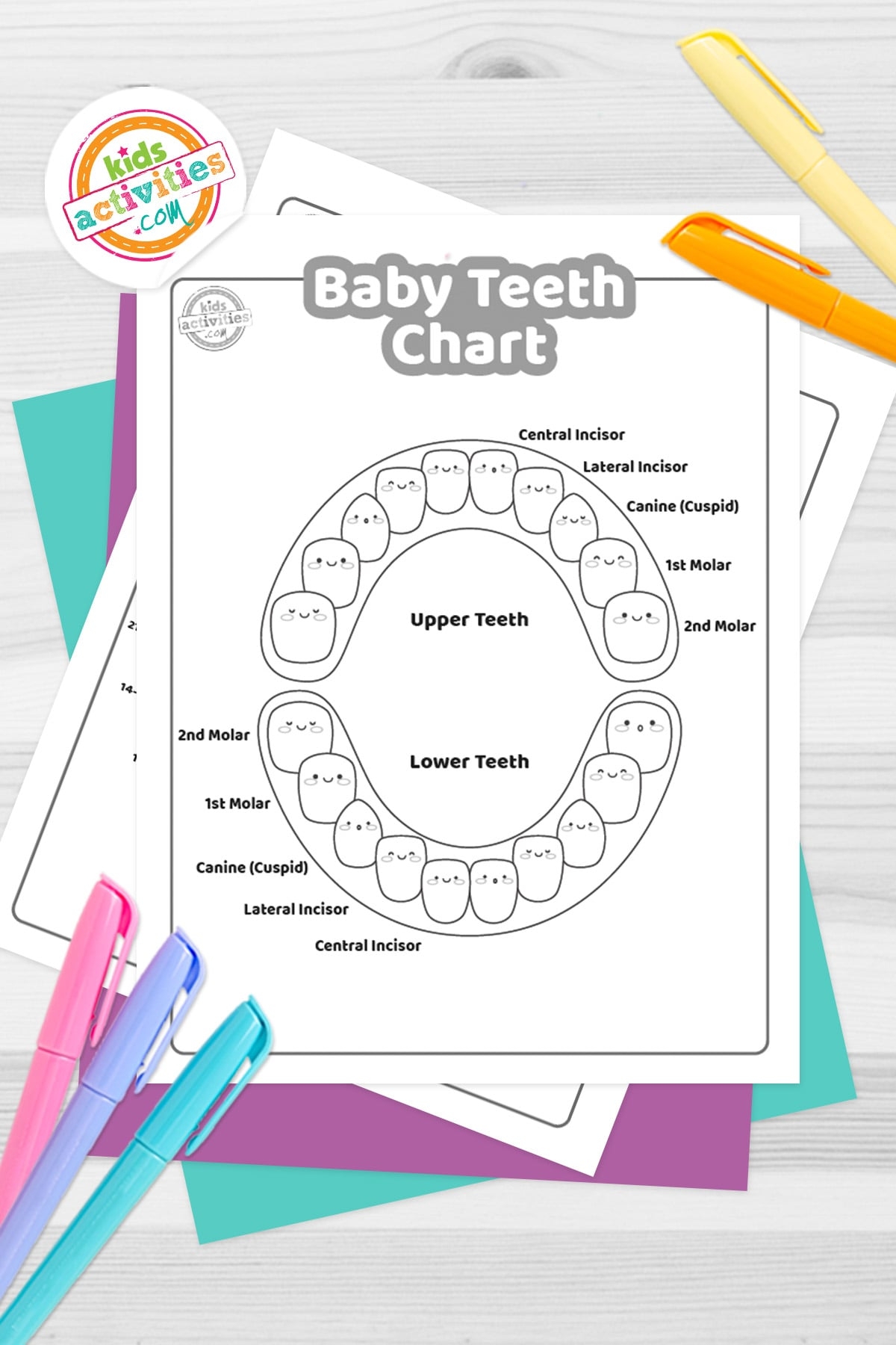 Baby Teeth Chart To Print Kids Activities Blog