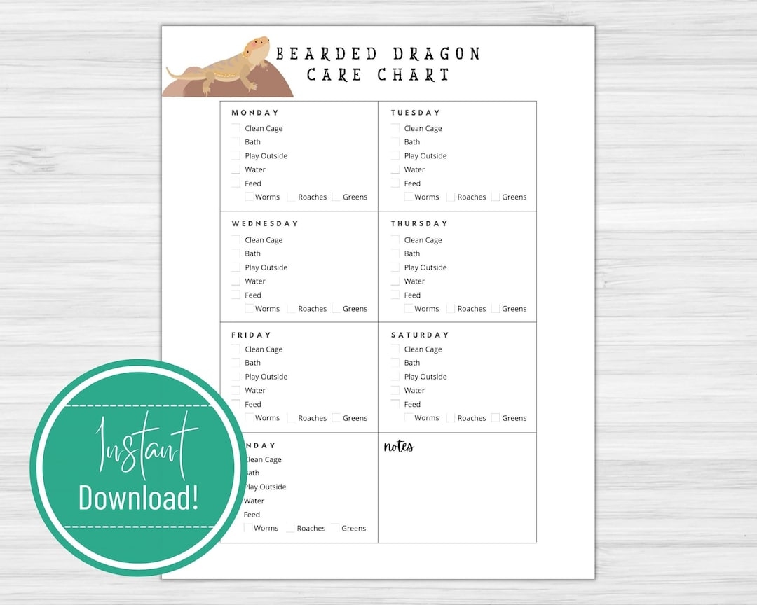 Bearded Dragon Care Chart Daily Pet Care Tracker PDF Download Etsy