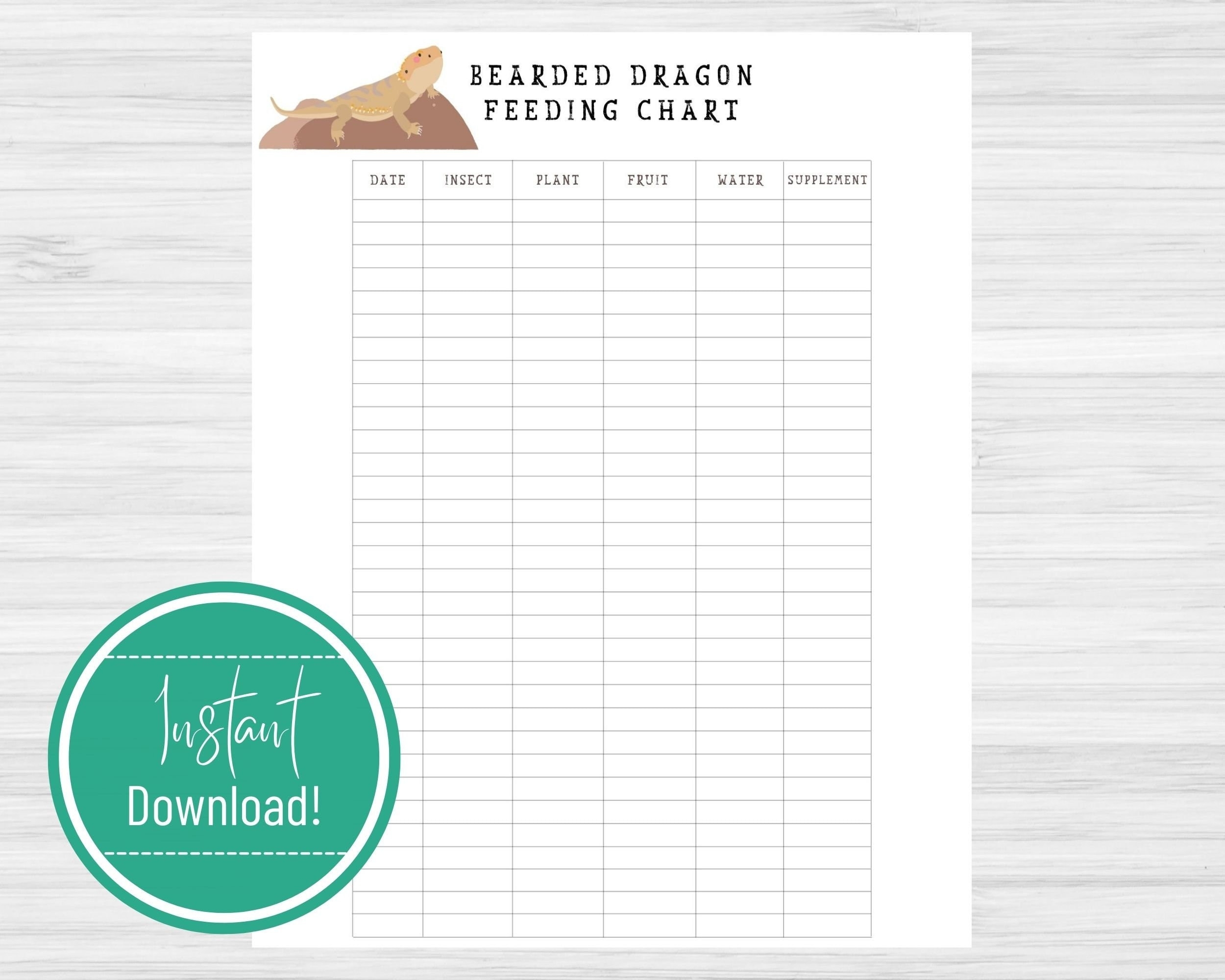 Bearded Dragon Monthly Feeding Chart Printable Download Etsy Bearded Dragon Monthly Feeding Chart Printable Download Etsy