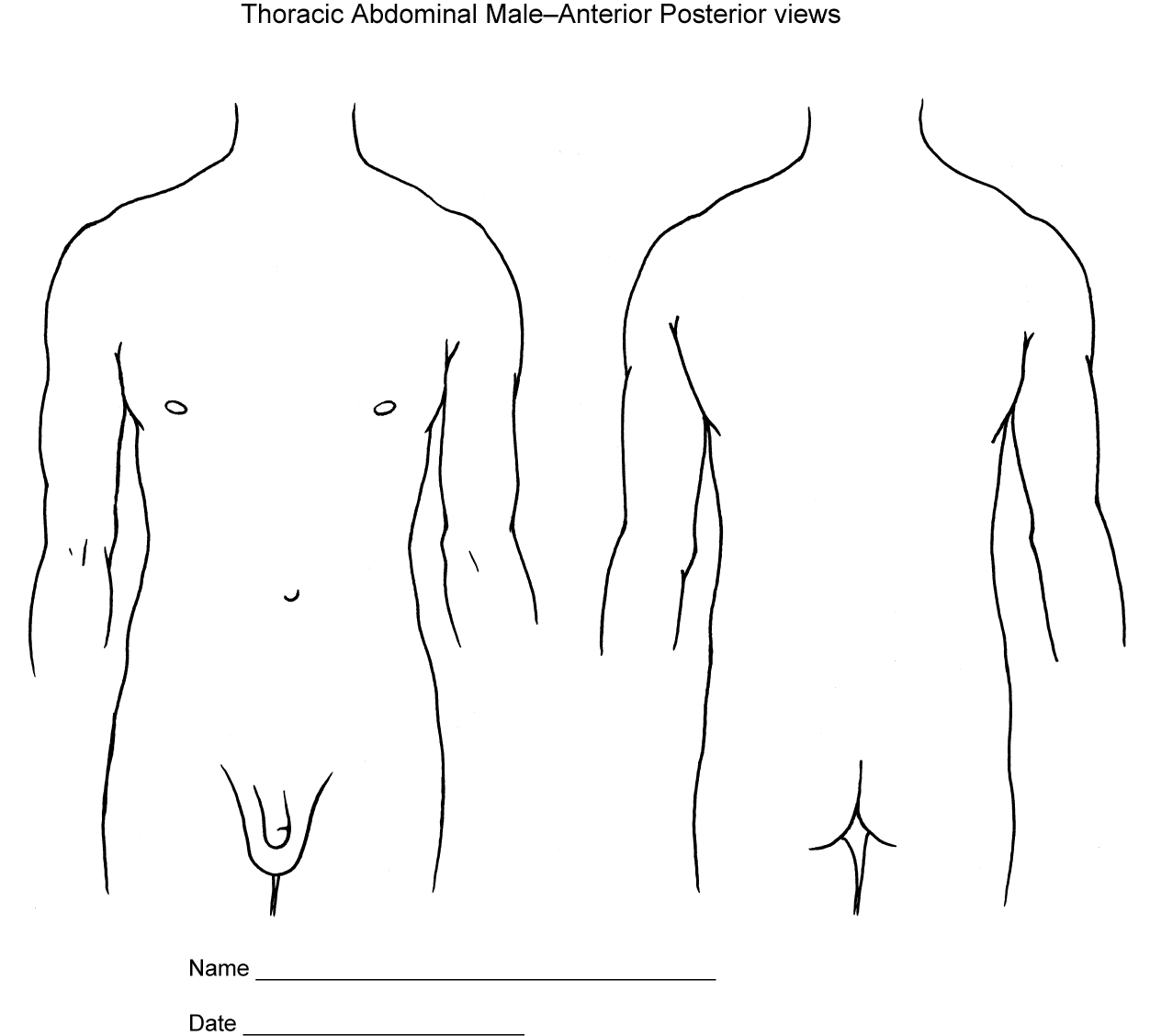 Body Diagrams Society Of Asylum Medicine Body Diagrams Society Of Asylum Medicine