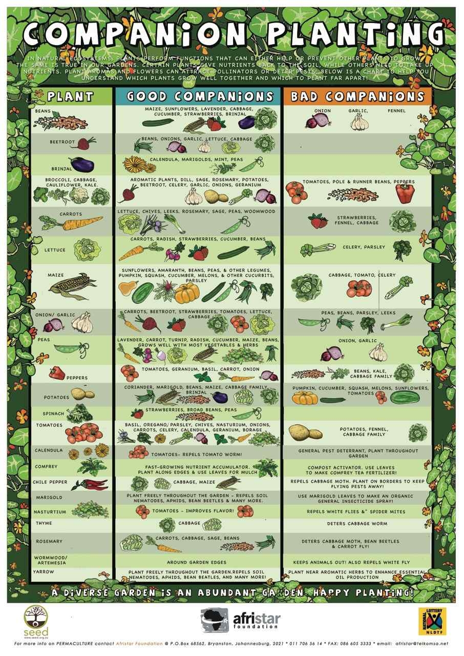 Printable Companion Gardening Chart