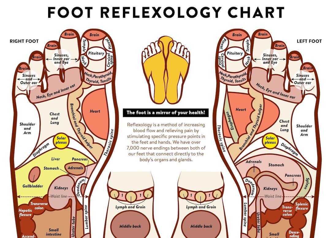 reflexology foot chart printable reflexology foot chart printable