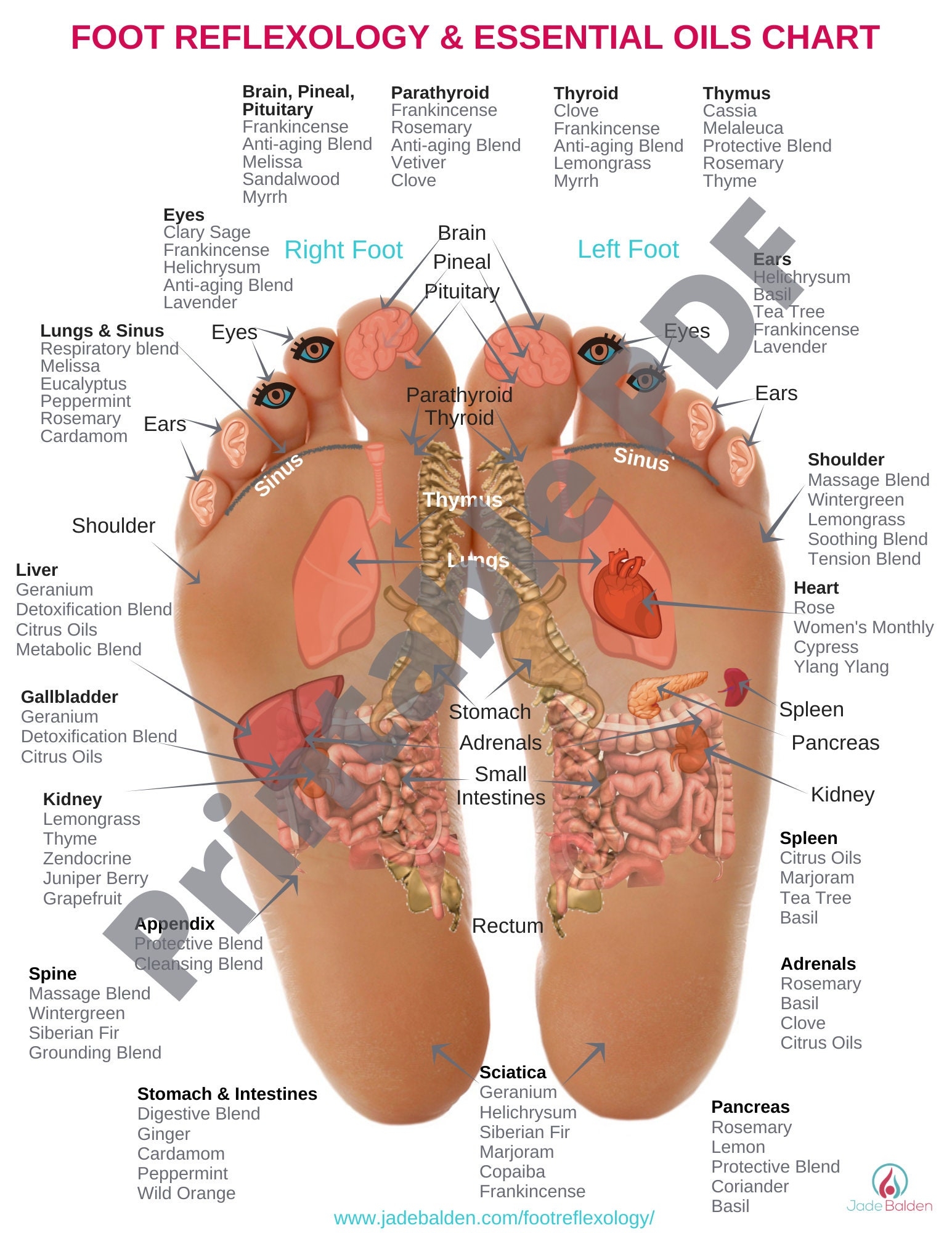 Foot Reflexology Chart PDF Printable Etsy Foot Reflexology Chart PDF Printable Etsy