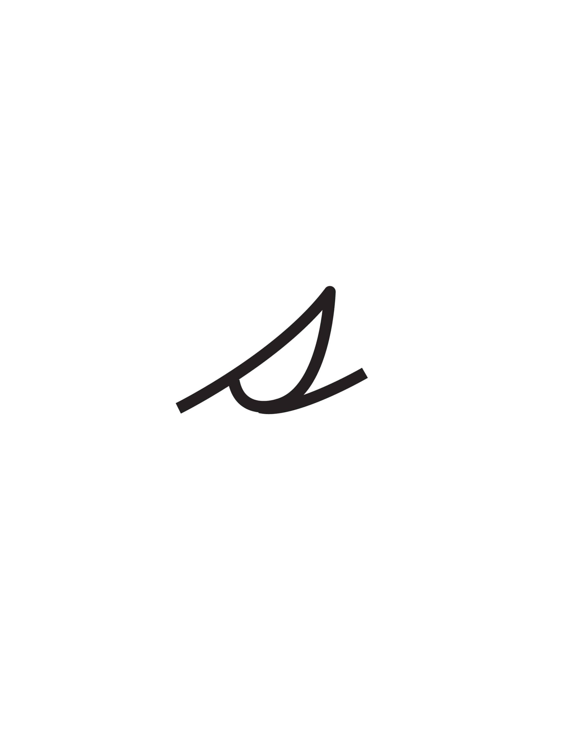 the letter s in cursive