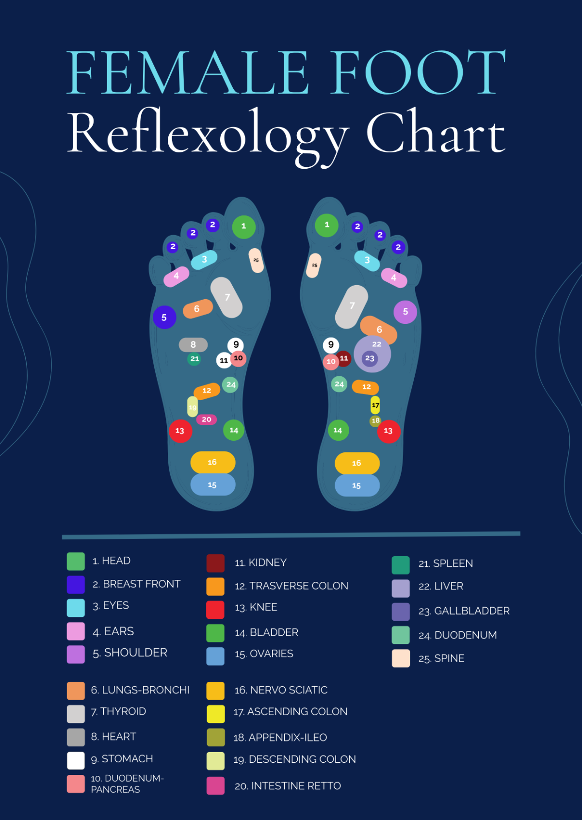 Free Female Foot Reflexology Chart Template To Edit Online Free Female Foot Reflexology Chart Template To Edit Online