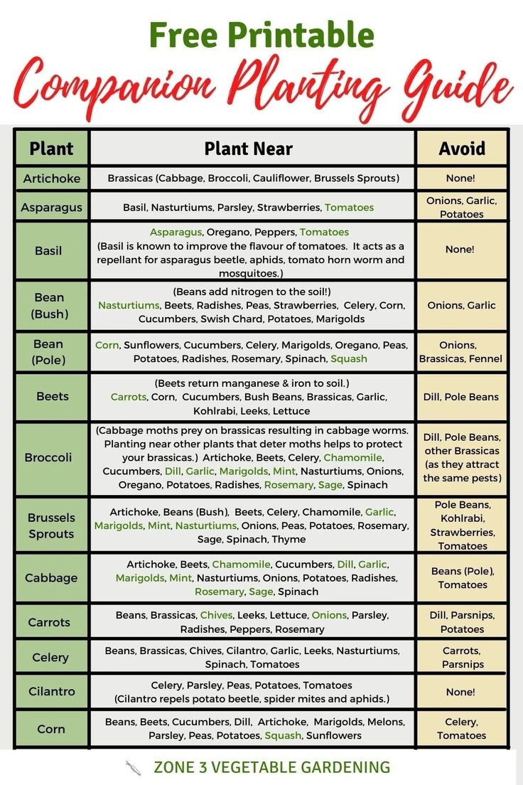 Free Printable Companion Planting Chart