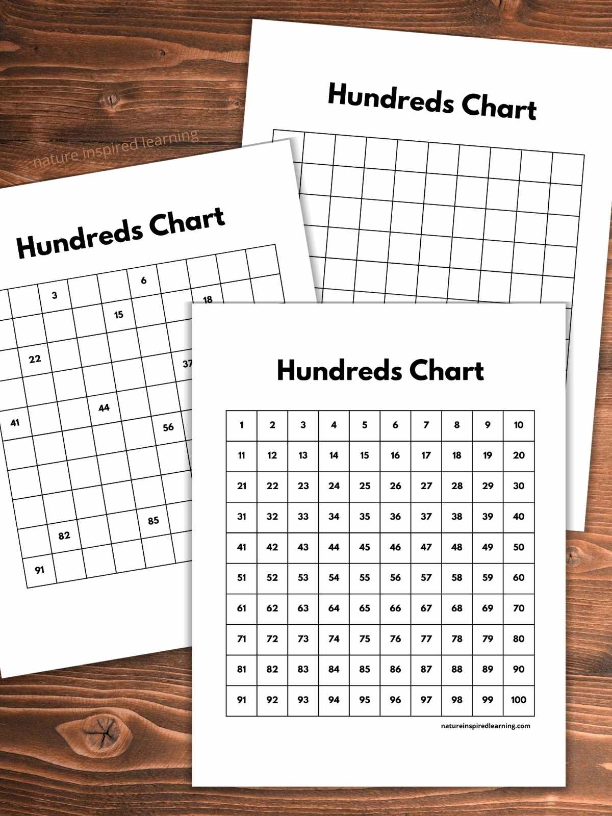 one hundred chart printable free