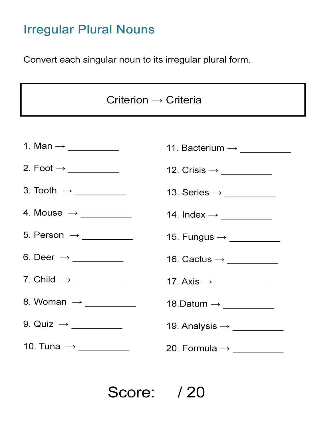 plural irregular nouns worksheet