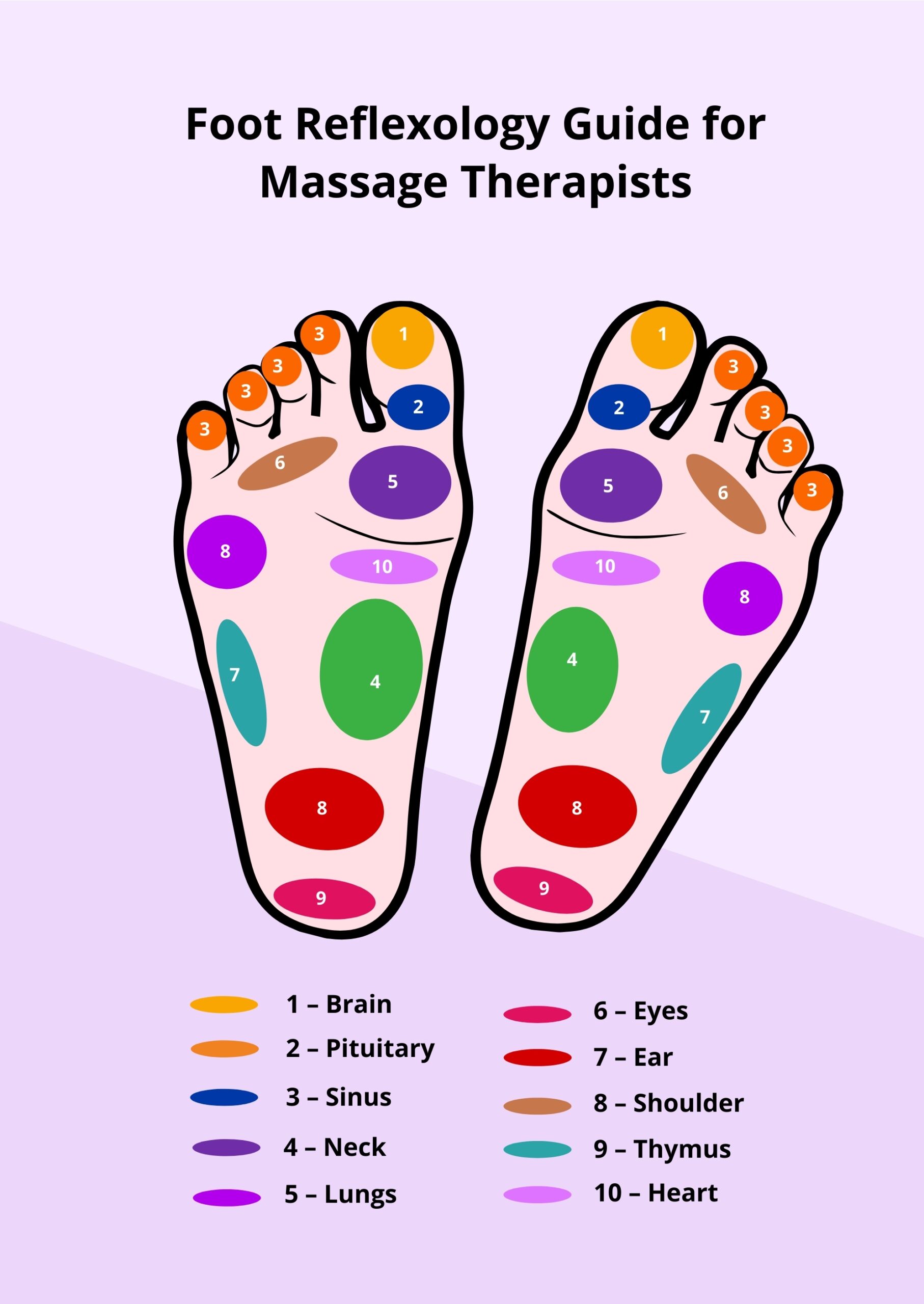 Massage Therapist Foot Reflexology Chart In Illustrator PDF Download Template
