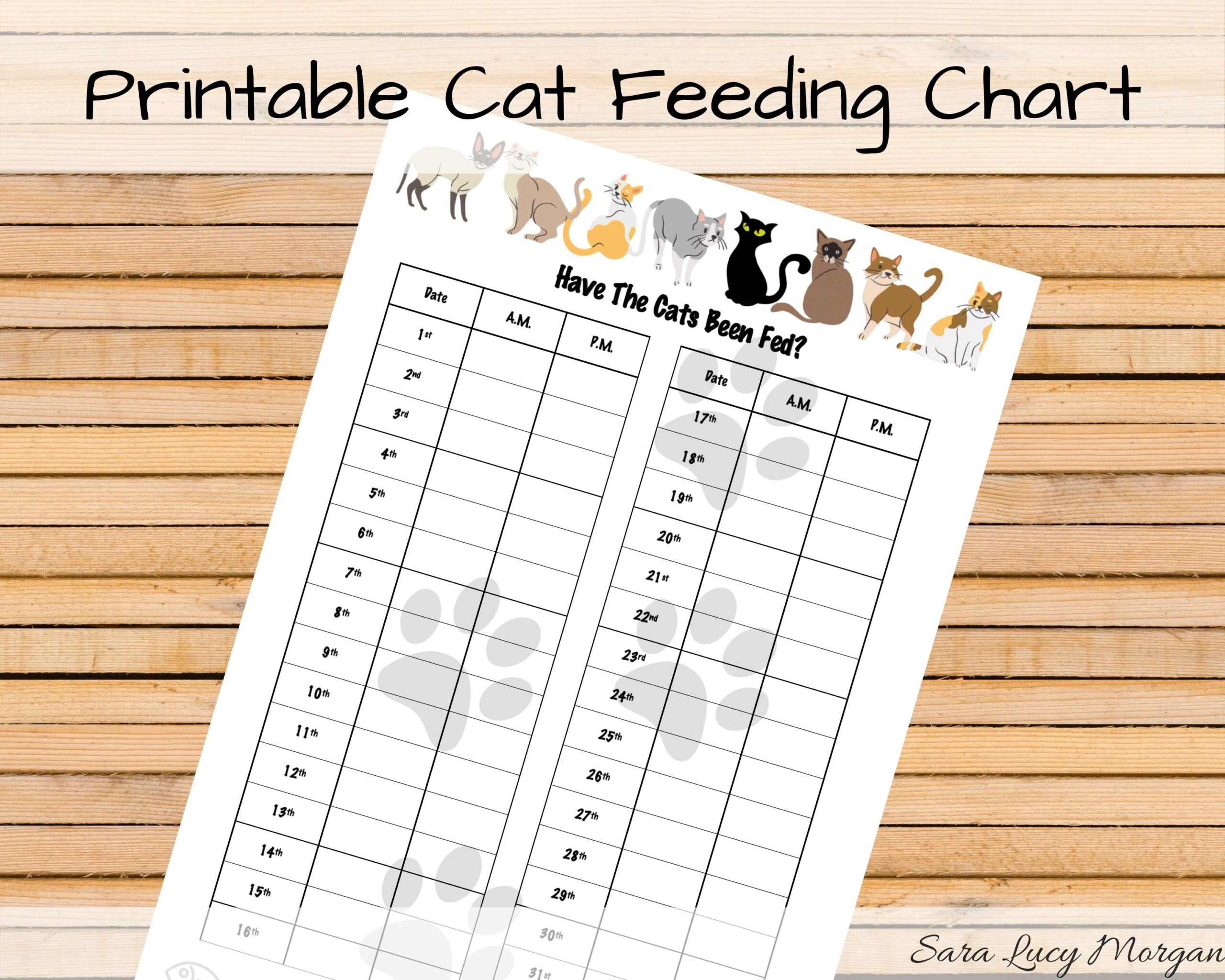 printable kitten feeding chart