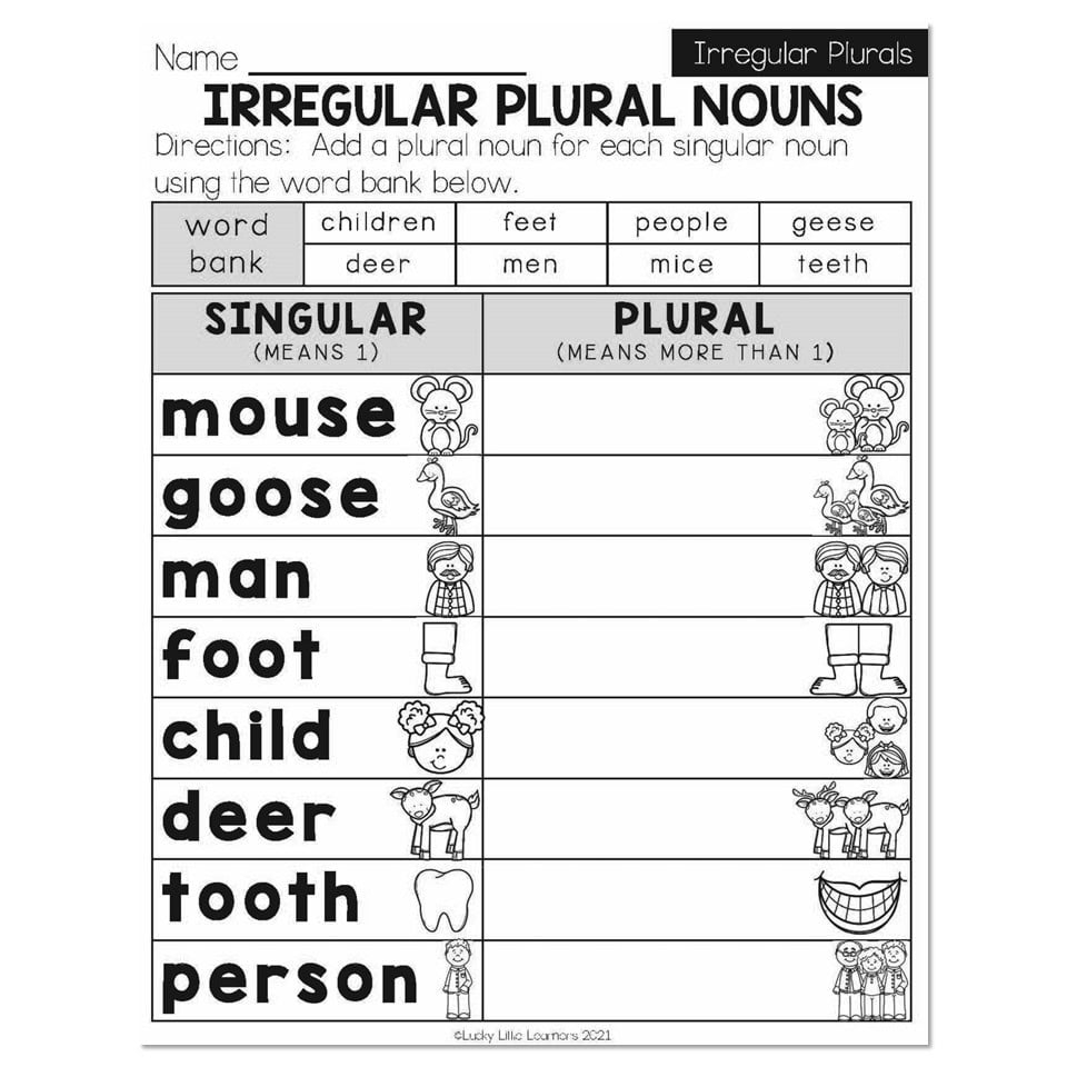 Irregular Plural Noun Worksheets