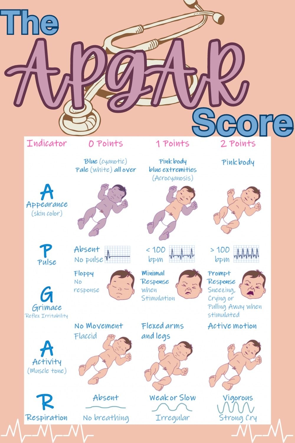 The Apgar Score The Apgar Score