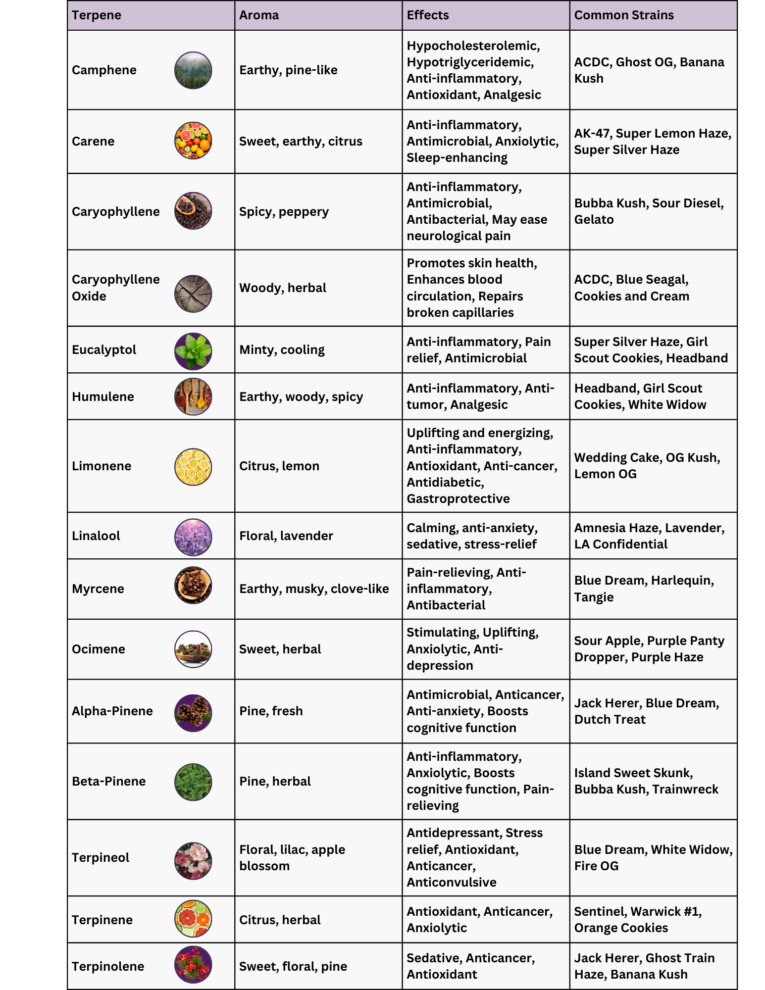 The Ultimate Marijuana Terpene Chart 15 Popular Terpenes And Their Effects