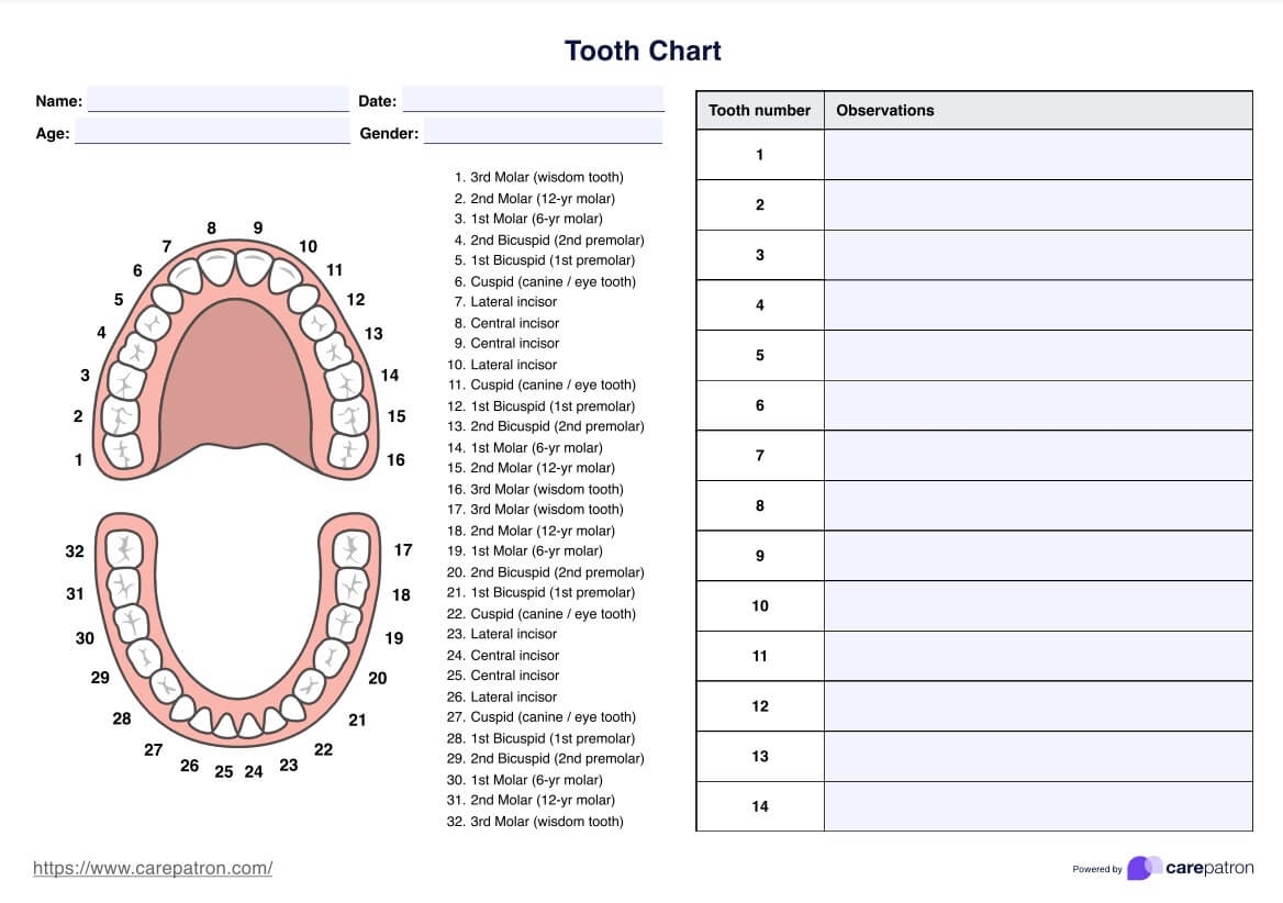 Printable Tooth Chart With Numbers
