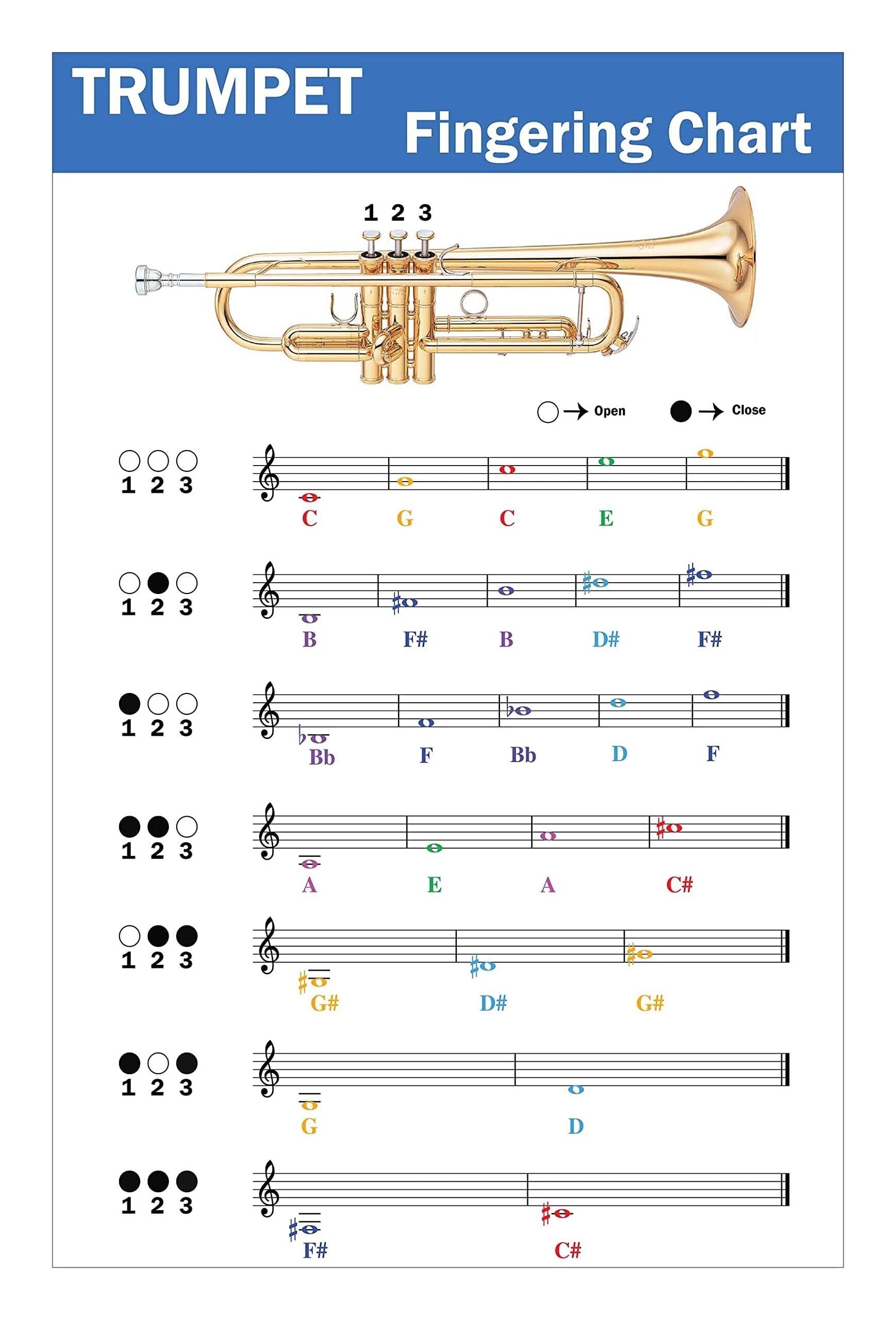 Trumpet Fingering Chart With Color Coded Notes Poster Learn Trumpet Technique Suitable For All Levels Walmart Trumpet Fingering Chart With Color Coded Notes Poster Learn Trumpet Technique Suitable For All Levels Walmart