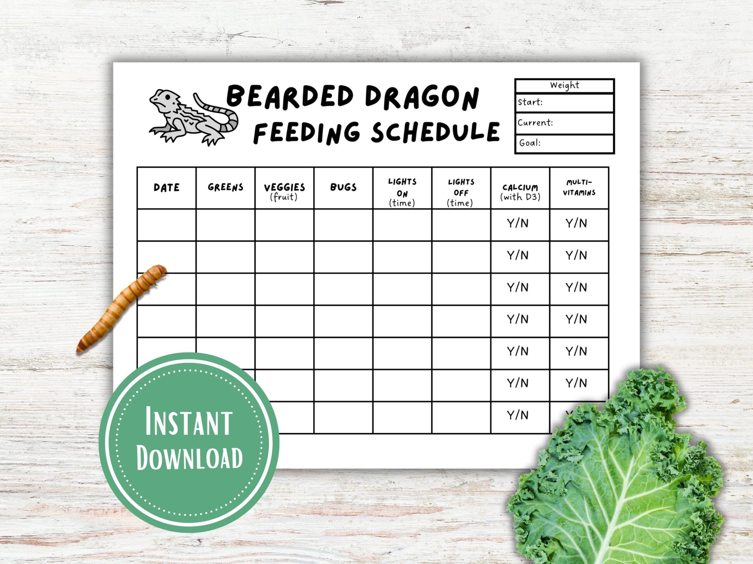 Printable Bearded Dragon Food Chart
